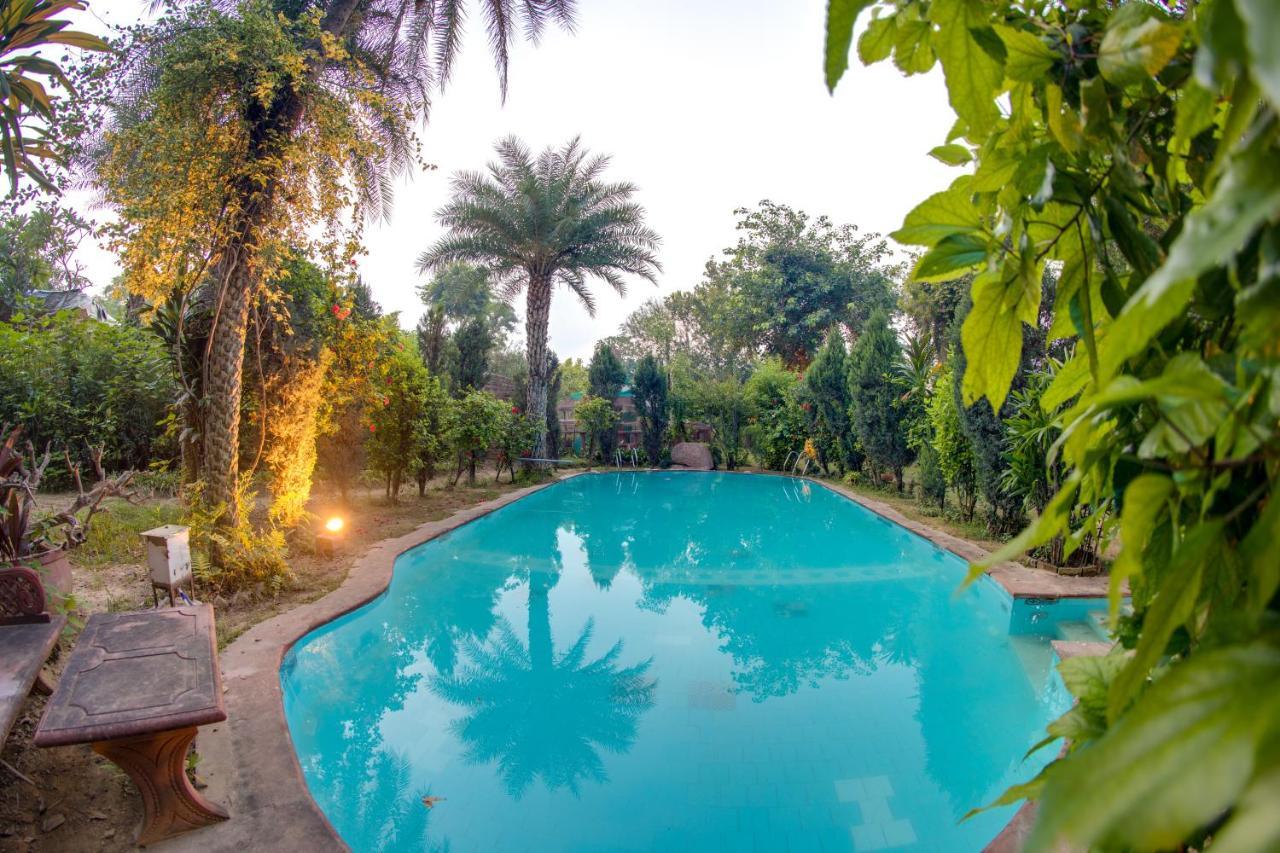 Hostie Chinar Haveli - Heritage Home With Pool, 古尔冈 外观 照片