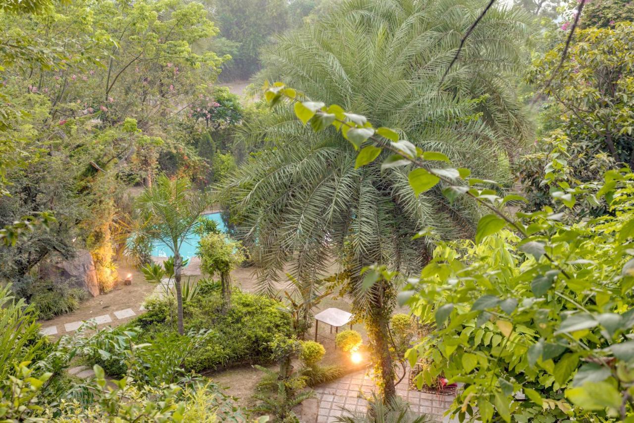 Hostie Chinar Haveli - Heritage Home With Pool, 古尔冈 外观 照片