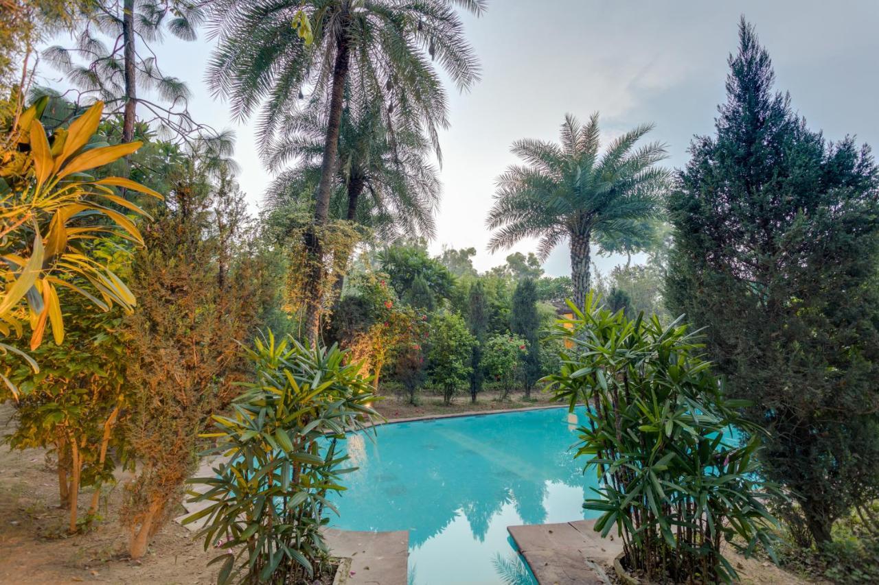 Hostie Chinar Haveli - Heritage Home With Pool, 古尔冈 外观 照片