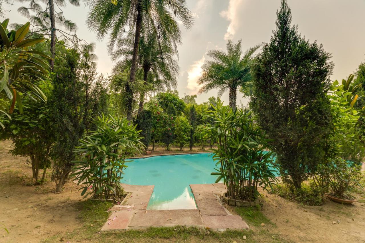 Hostie Chinar Haveli - Heritage Home With Pool, 古尔冈 外观 照片