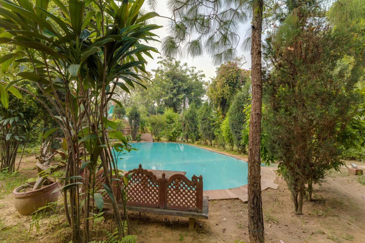 Hostie Chinar Haveli - Heritage Home With Pool, 古尔冈 外观 照片